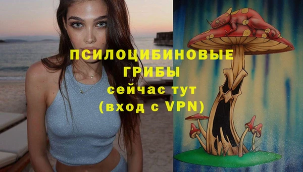 спайс Алзамай