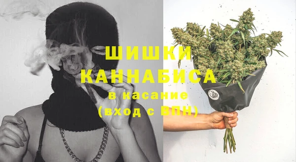 спайс Алзамай